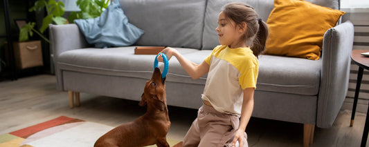 10 Must-Have Pet Products Every Pet Parent Needs in 2025