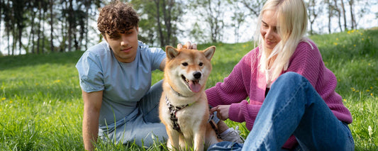 The Ultimate Guide to Keeping Your Pets Happy, Healthy, and Entertained