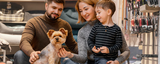 How to Choose the Right Products for Your Pet’s Personality