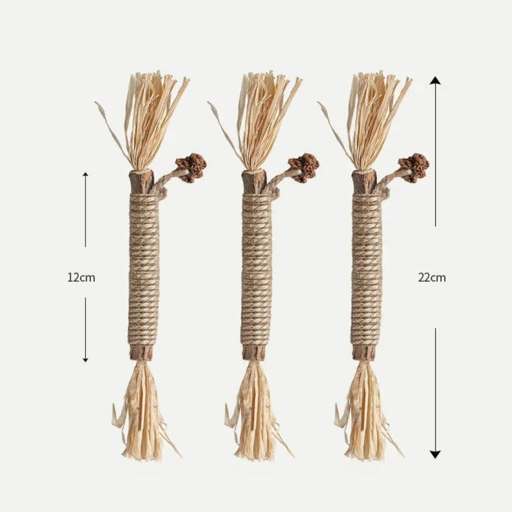 Natural Matatabi Pet Cat Snacks Sticks Cleaning Tooth Catnip Cat Toys Actinidia Silvervine Pet Toy for Cats Pet Accessories