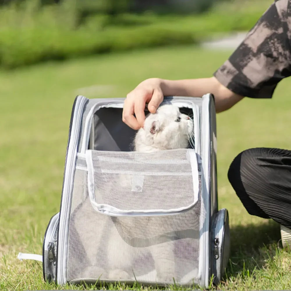 Pet Cat Carrier Bag Outdoor Travel Backpack for Cats Small Dogs Breathable Cat Carrying Bag Suitable for Cats
