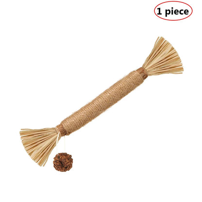 Natural Matatabi Pet Cat Snacks Sticks Cleaning Tooth Catnip Cat Toys Actinidia Silvervine Pet Toy for Cats Pet Accessories